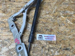 петля капота BMW 3 серия E90/E91/E92/E93 E92 (2004 - 2010), 2.0 л., N47 D20 A, дизель, МКПП, купе, правый руль, 7060627