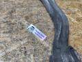 рычаг подвески BMW 7 серия F01/F02 F01 2008, 3.0 л., N57 D30 B, дизель, АКПП, седан, задний привод, 31126775959, 6775959 - фото №5
