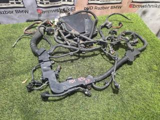 проводка двигателя BMW 7 серия F01/F02 F01 2009, 3.0 л., N57 D30 A, дизель, АКПП, черный, седан, задний привод, 12517809581, 7809581