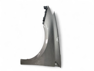 крыло переднее левое Renault Laguna 3 поколение 2008, 2.0 л., DCi, M9R 742, дизель, 6МКПП, gray / teknd, хетчбэк 5 дв., передний привод, правый руль, 631010032R