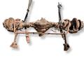 мост задний IVECO Daily 3 поколение 2000, 2.8 л., TD, 8140.43S, дизель, 6МКПП, green, микроавтобус, задний привод, правый руль, 7182701, 7175154 - фото №14