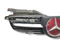 решетка радиатора Mercedes-Benz SLK-Класс R170 [рестайлинг] R170 2000, 3.2 л., i, M 112.947, бензин, АКПП, bernsteinrot / 548, кабриолет, задний привод, правый руль - фото №3