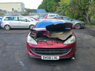 Peugeot 407 Coupe 1 поколение