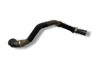 патрубок радиатора Ford Kuga 1 поколение 2010, 2.0 л., TDCi, TXDA, дизель, 6МКПП, moondust silver / o8, внедорожник 5 дв., полный привод, правый руль, AV41-8260-AC