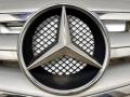 решетка радиатора Mercedes-Benz B-Класс W245 [рестайлинг] 2010, 1.5 л., i, M 266.920, бензин, 5МКПП, horizontblau / 391, минивэн, передний привод, правый руль, A1698881660, A2078880260 - фото №3