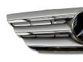 решетка радиатора Mercedes-Benz B-Класс W245 [рестайлинг] 2010, 1.5 л., i, M 266.920, бензин, 5МКПП, horizontblau / 391, минивэн, передний привод, правый руль, A1698881660, A2078880260 - фото №2