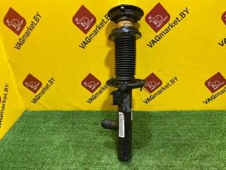 амортизатор передний Volkswagen Tiguan 2 поколение [рестайлинг] 2021, 2.0 л., бензин, 5QF413032A