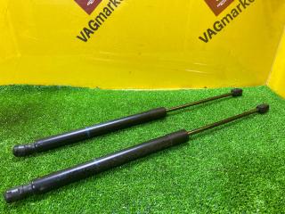 амортизатор крышки багажника (3-5 двери) Audi Q7 4L [рестайлинг] 2014, 4.2 л., дизель, 4L0827552F