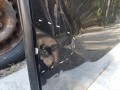 дверь передняя левая BMW X7 G07 2022, 3.0 л., бензин, АКПП, внедорожник 5 дв. - фото №5