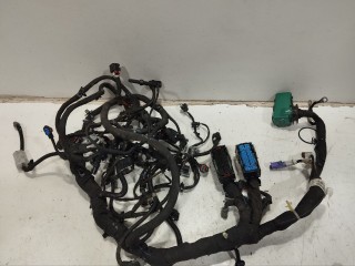 проводка двигателя Opel Insignia B [рестайлинг] 2023, 1.5 л., дизель, АКПП, универсал, 351140569