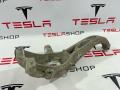 кулак поворотный правый Tesla Model Y 1 поколение 2021, 1188316-00-F - фото №2