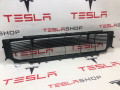 Решетка декоративная основного радиатора (передний бампер) Tesla Model S 1 поколение [рестайлинг] 2016, 1058022-00-B - фото №4