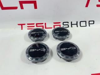 колпачок литого диска BYD Song Plus EV 1 поколение (2020 - 2024), 12988098-00, TA-3102420C
