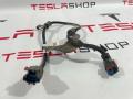 Электропроводка суппорта (ручника) Tesla Model 3 1 поколение 2019, 1098483-00-F - фото №2