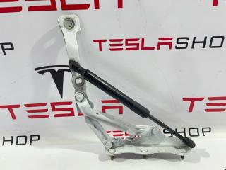 петля крышки багажника Tesla Model 3 1 поколение 2019, 1092821-00-E, 1667398-00-B