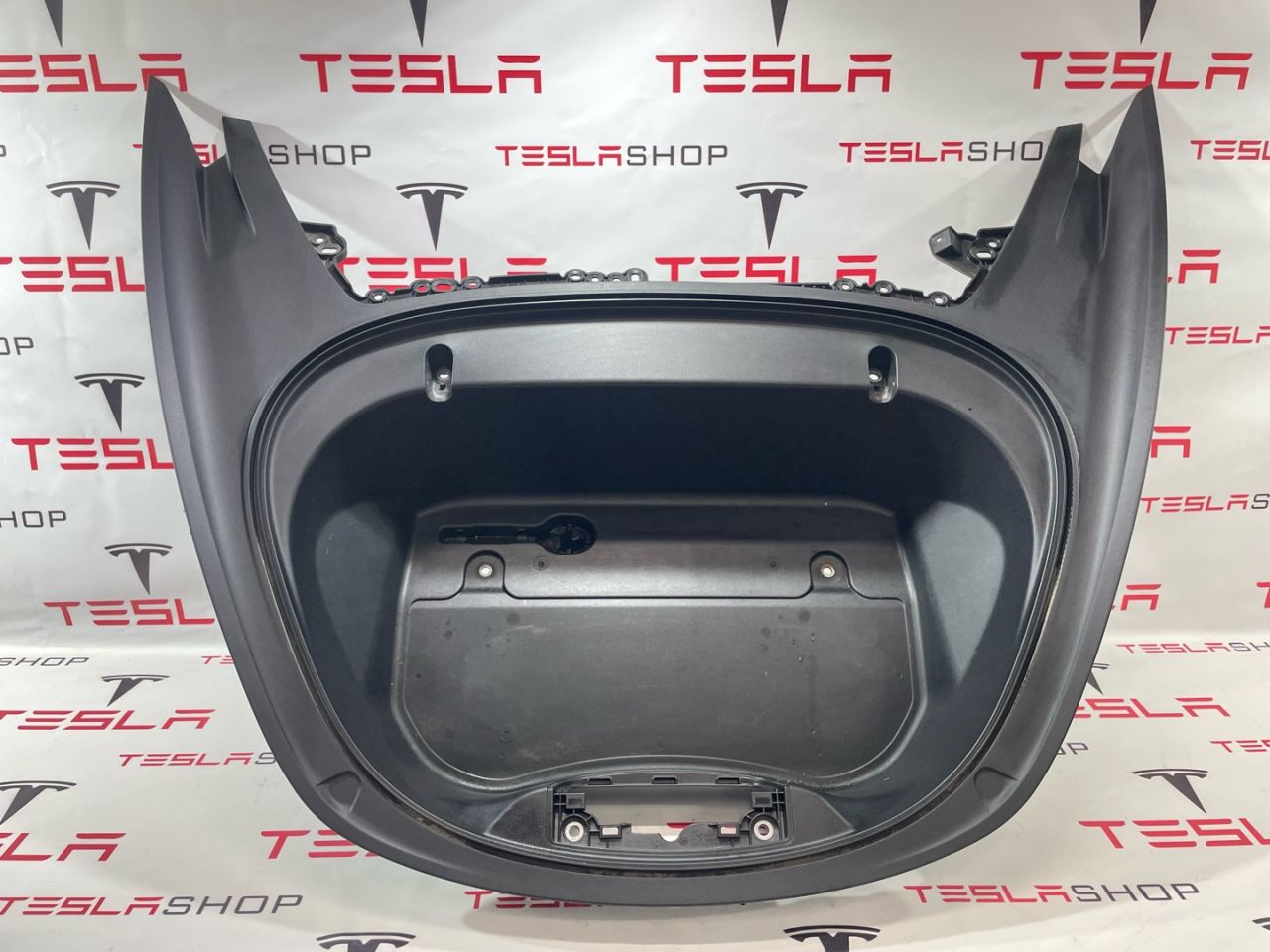 корыто пластиковое Tesla Model 3 1 поколение 2019, 1081674-99-I, 1081691-00-E - фото №1
