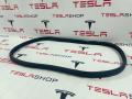 Уплотнитель бокса подкапотного резиновый Tesla Model 3 2 поколение 2025, 169449300H, 1702604-00-C - фото №2