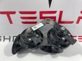 Клаксон передний Tesla Model 3 1 поколение 2019, 1486943-00-A - фото №3