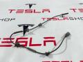 датчик ABS Tesla Model 3 1 поколение 2019, 1044761-00-E - фото №2