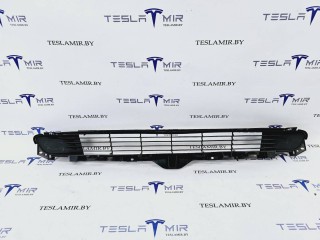 Решетка гриль декоративная основного радиатора (передний бампер) Tesla Model 3 1 поколение 2021, 1085927-00, 1516848-00