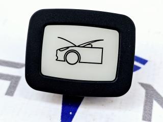 Кнопка аварийного открытия капота (из корыта) Tesla Model Y 1 поколение 2021, 1516185-00, 1647410-00