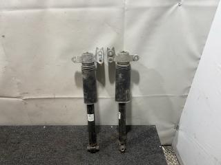 амортизатор задний Chevrolet Equinox 3 поколение 2019, 1.5 л., бензин, АКПП, синий, передний привод, 84361755