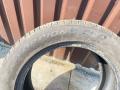 шина  - фото №2