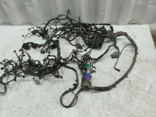 проводка двигателя Ford Mondeo 4 поколение [рестайлинг] 2012, 2.0 л., бензин, АКПП, BG9T12A690, BG9T15K867TC