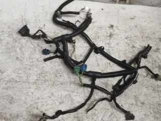 проводка двигателя Citroen Berlingo 1 поколение (M59) [рестайлинг] (2004 - 2013), 1.9 л., дизель