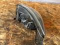 фара правая Ford Focus 3 поколение CB8 2012, 1.6 л., VVT-i, PNDA, бензин, МКПП, midnight sky, хетчбэк 5 дв., передний привод, правый руль, BM51-13D154 - фото №2