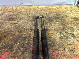 амортизатор крышки багажника (3-5 двери) Ford Fusion 1 поколение [рестайлинг] CBK 2009, 1.6 л., i, FYJA, бензин, АКПП, moondust silver (metallic), хетчбэк 5 дв., передний привод, правый руль, 6N11-N406A10-AA