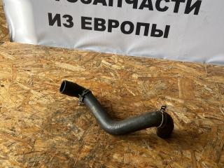 патрубок радиатора Ford Focus 3 поколение CB8 2012, 1.6 л., i-VTEC, IQDB, бензин, 5МКПП, frozen white, хетчбэк 5 дв., передний привод, правый руль, 8V618286BA