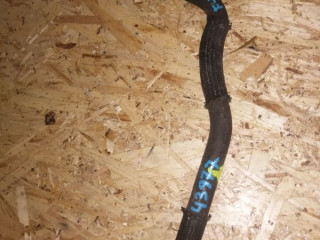 патрубок (трубопровод, шланг) Ford Focus 2 поколение CB4 2008, 1462573