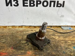 цапфа задняя Ford Fusion 1 поколение [рестайлинг] CBK 2009, 1.6 л., i, FYJA, бензин, АКПП, moondust silver (metallic), хетчбэк 5 дв., передний привод, правый руль