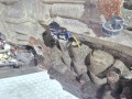КПП автоматическая (АКПП) Toyota Land Cruiser 11 поколение J200 2012, 4.6 л., бензин, 3501060D00, 12CTK09449 - фото №3
