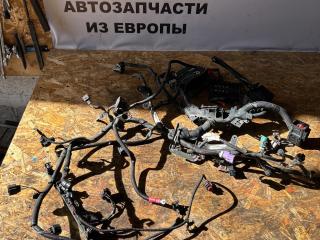 проводка двигателя Ford Fusion 1 поколение [рестайлинг] CBK 2009, 1.6 л., i, FYJA, бензин, АКПП, moondust silver (metallic), хетчбэк 5 дв., передний привод, правый руль, 6S6T-14K011