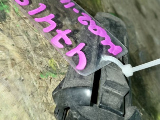 кронштейн радиатора Mazda 3 1 поколение [рестайлинг] BK 2008, 3M5H8125AC