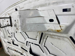 капот Ford Transit Connect 2 поколение 2017, 1.5 л., МКПП, передний привод, 1808950, PDT11-V16610-AA