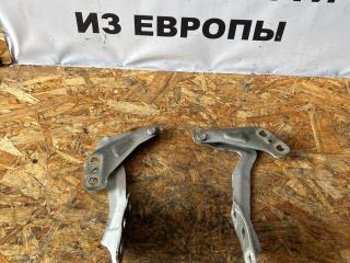 петля капота Ford Fusion (USA) 2 поколение [рестайлинг] 2018, 2.0 л., TPWA, бензин, АКПП, pn4ag0 - ingot silver metallic, седан, полный привод, DS73F16800AB, DS73F16801AB