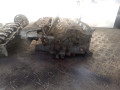 головка блока цилиндров Renault Laguna 2 поколение 2002, 2.0 л., бензин, F4R - фото №4
