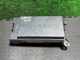 блок предохранителей Kia Sorento 1 поколение 2005, 9, 12E75