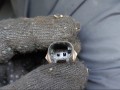 датчик температуры в выпускном коллекторе Mercedes-Benz Sprinter 1 поколение (W901-905) [рестайлинг] 2003, OM611, A0005426218 - фото №6
