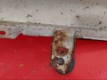 крыло переднее правое Peugeot Boxer 1 поколение 230 2002, 2.5 л., T9A (DJ5), дизель, 1302269080, 7, 84E11 - фото №7