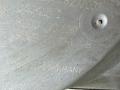 заслонка дроссельная Renault Scenic 2 поколение 2005, 1.6 л., бензин, 8200190230 - фото №7