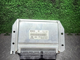 блок управления двигателем Hyundai Santa Fe 2 поколение (CM) 2005, 3910127270
