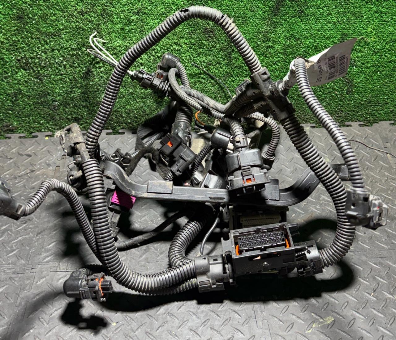 проводка двигателя Opel Meriva 1 поколение (A) 2005, 55559841 - фото №1