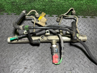 топливная рампа Citroen C5 1 поколение 2003, 2.0 л., 445214019
