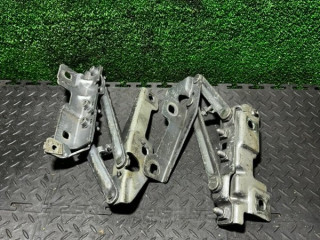 петля капота Opel Insignia 1 поколение (A) 2010, 13248765