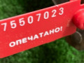 механизм стеклоочистителя (трапеция дворников) Renault Kangoo 1 поколение 2000, 53550102 - фото №4
