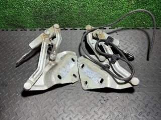 петля капота Volkswagen Touareg 1 поколение 2006, 7L6823302